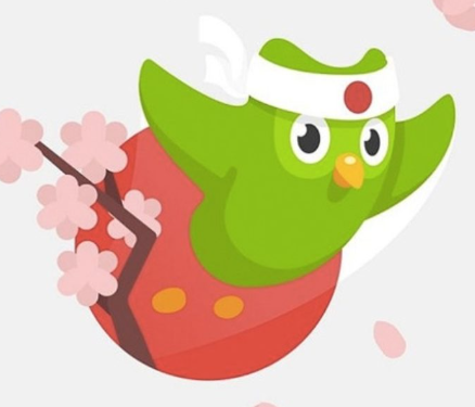 Duolingo icon